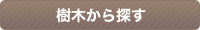 樹木から探す
