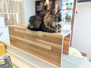 猫用のコの字型台を作成