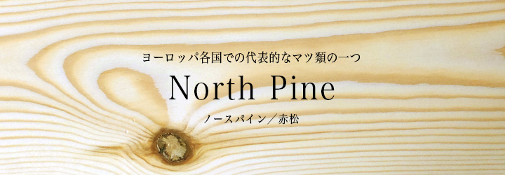 ノースパイン/赤松