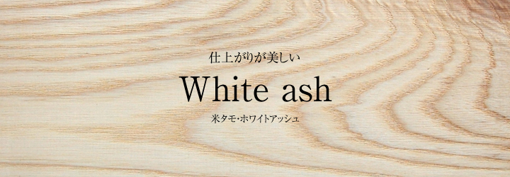 米タモ/ホワイトアッシュ