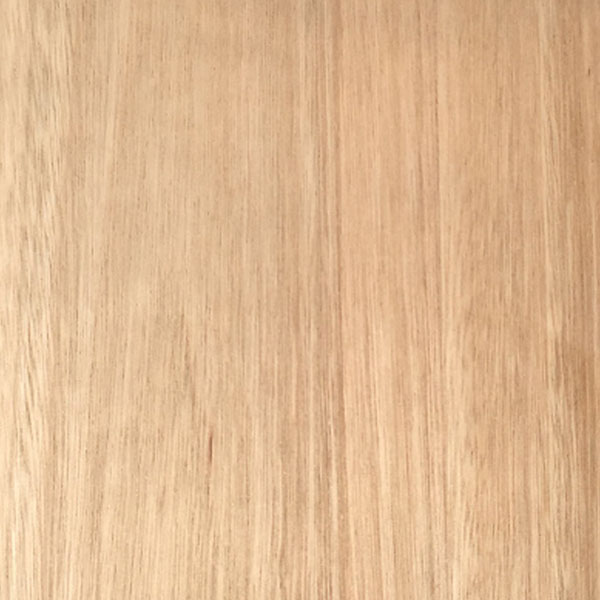 ユーカリ
